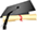 Gradutation Hat & Diploma Icon